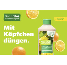 Engrais liquide Plantiful pour agrumes de Manna. Illustré avec des oranges. Logo Plantiful. Logo Manna.