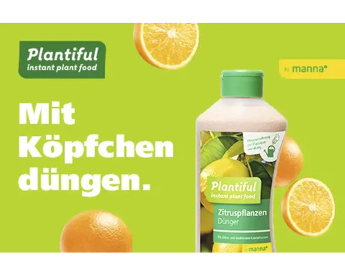 Engrais liquide Plantiful pour agrumes de Manna. Illustré avec des oranges. Logo Plantiful. Logo Manna.