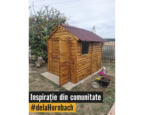 Petit abri de jardin en bois avec toit à deux pans et porte ouverte sur une dalle en béton dans un jardin.