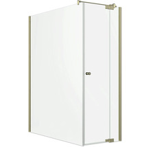 Cabine de douche d'angle en verre avec profilés métalliques, porte pivotante et barre de stabilisation.