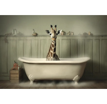 Leinwandbild Giraffe bathing 116x80 cm