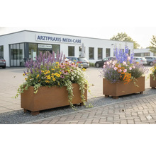 Pflanzkübel Raumteiler Palatino Lotte Steps Corten-Stahl 150 x 50 x 59,5 cm rost