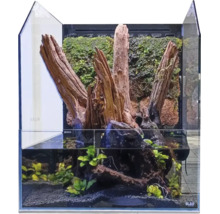 Paludarium Blau aquaristic Cubic Selva 35 Terrarium Set, ohne Beleuchtung, ca. 35 x 35 x 18 / 45 cm, 6 mm Opti-White-Glas, DC - Pumpe 3,5 W 200 l/h, Ultraschallnebler