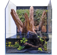 Paludarium Blau aquaristic Cubic Selva 45 Terrarium Set, ohne Beleuchtung, ca. 45 x 45 x 20 / 55 cm, 6 mm Opti-White-Glas, DC - Pumpe 3,5 W 200 l/h, Ultraschallnebler