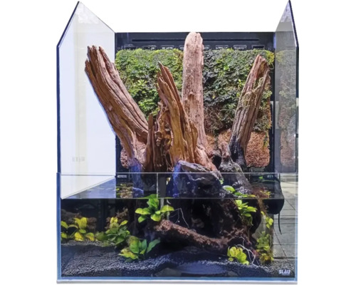 Paludarium Blau aquaristic Cubic Selva 45 Terrarium Set, ohne Beleuchtung, ca. 45 x 45 x 20 / 55 cm, 6 mm Opti-White-Glas, DC - Pumpe 3,5 W 200 l/h, Ultraschallnebler