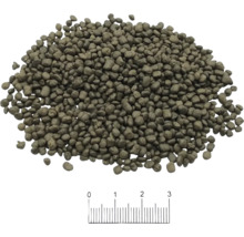 Aquarium Bodengrund BLAU aquaristic Terra Activa Soil Brown 8 L, 2 - 4 mm