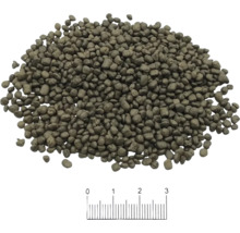 Aquarium Bodengrund BLAU aquaristic Terra Activa Soil Black Fine 8 L, 1 - 2 mm