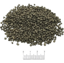 Aquarium Bodengrund BLAU aquaristic Terra Activa Soil Black 2 L, 2 - 4 mm