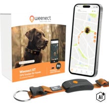 Weenect XT GPS-Tracker für Hunde mit Julius-K9 Halsband und App-Anzeige auf einem Smartphone. (Image AI modified or generated)