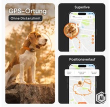 Infografik für einen GPS-Tracker für Hunde mit Funktionen wie GPS-Ortung ohne Distanzlimit, Live-Tracking und Positionsverlauf auf dem Smartphone. (Image AI modified or generated)