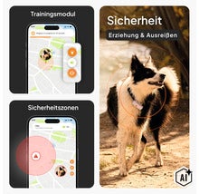 Infografik für GPS-Tracker für Hunde: Smartphone-App mit Trainingsmodul und Sicherheitszonen sowie Hund mit Tracker-Halsband im Freien. (Image AI modified or generated)