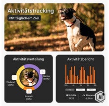 Infografik zum Aktivitätstracking für Hunde mit Diagrammen zur Aktivitätsverteilung und einem Aktivitätsbericht mit Schritten und Kilometern. (Image AI modified or generated)