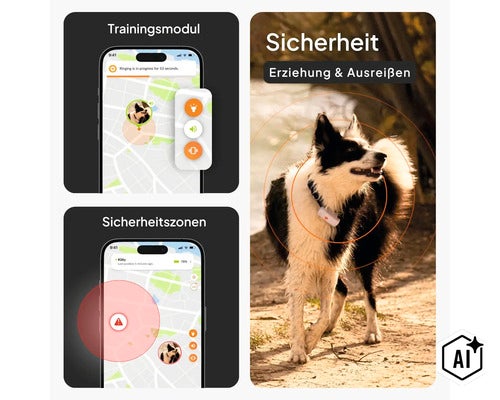 Infografik zum GPS-Tracker für Hunde mit App-Funktionen wie Trainingsmodul, Sicherheitszonen und Live-Ortung. (Image AI modified or generated)