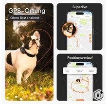 GPS-Tracker für Hunde mit App-Darstellung für Echtzeit-Ortung und Positionsverlauf. Französische Bulldogge mit GPS-Halsband. (Image AI modified or generated)