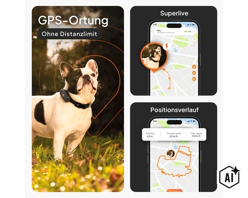 GPS-Tracker für Hunde mit App-Darstellung für Echtzeit-Ortung und Positionsverlauf. Französische Bulldogge mit GPS-Halsband. (Image AI modified or generated)