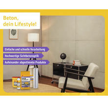 Modern gestaltete Wunnraum mat enger Mauer an Sichtbetonoptik, engem Sessel an engem Sideboard. Am Virdergrond si verschidde Sika-Produkter.