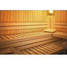 Vue intérieure d'un sauna en bois avec des bancs sur deux niveaux, des dossiers, un appui-tête et un éclairage.