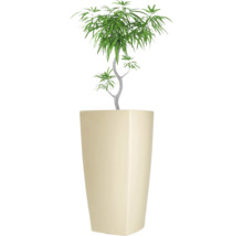 Plante artificielle dans un grand pot carré
