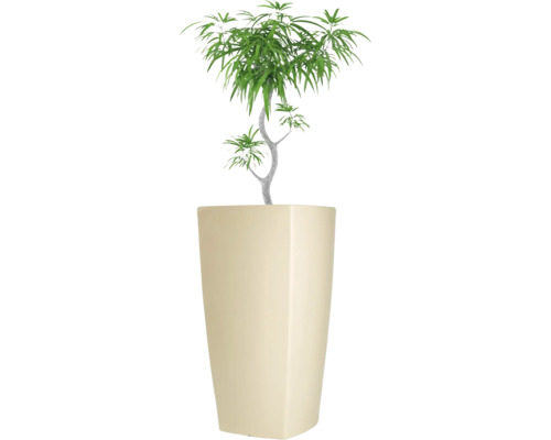Plante artificielle dans un grand pot carré