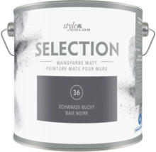 Pot de peinture murale mate Selection de Style Color dans la teinte baie noire.