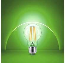 Ampoule LED à filament Philips avec culot à vis et ampoule en verre