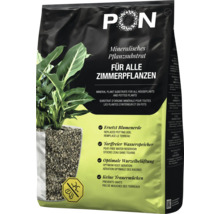 Substrat de culture minéral Lechuza PON pour toutes les plantes d'intérieur en grand emballage