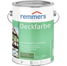 Remmers Deckfarbe in Blattgrün, 2,5 Liter für Holz, Putz, Mauerwerk und Zinkblech, wetterbeständige und elastische Farbe für innen und außen.