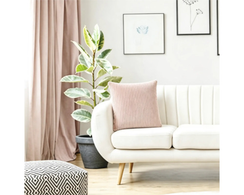 Salon moderne avec canapé blanc, coussin côtelé, plante d'intérieur et rideaux dans un aménagement intérieur lumineux.
