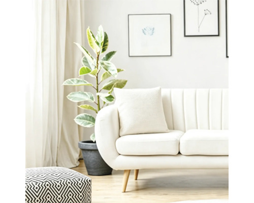 Salon lumineux avec un canapé moderne, des coussins, un pouf à motifs et une grande plante en pot devant une fenêtre avec des rideaux.
