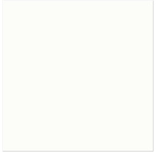 Un espace réservé carré blanc pour une image de produit manquante chez Hornbach.