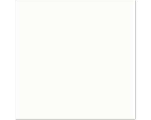 Un espace réservé carré blanc pour une image de produit manquante chez Hornbach.