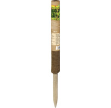 Tuteur pour plantes en fibres de coco FloraSelf avec piquet en bois, 60 centimètres de long, pour le maintien des plantes grimpantes.