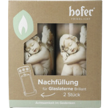 Hofer Friedlicht recharge pour lanterne en verre Brillant, 2 bougies funéraires avec motif ange pour décoration funéraire.