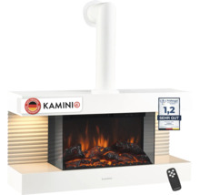 Cheminée électrique murale KAMINIO avec conduit, effet flamme réaliste, bûches décoratives et télécommande, incluant label de qualité.
