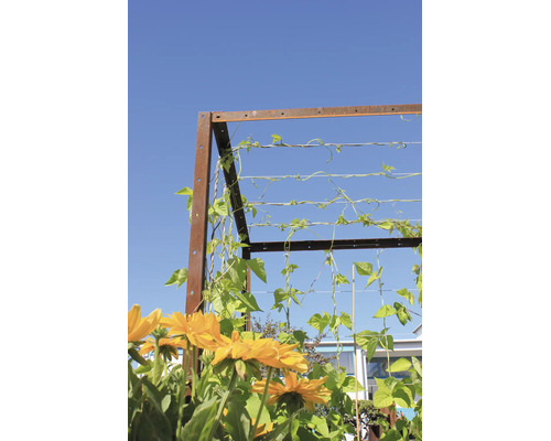 Trellis en métal avec patine rouille pour plantes grimpantes et haricots au jardin