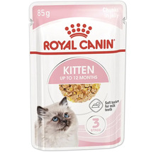 Aliment humide pour chatons Royal Canin Kitten jusqu’à douze mois en sachet fraîcheur de 85 grammes avec des morceaux en gelée.