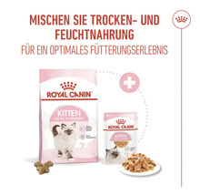 Royal Canin Kitten Trockenfutter und Feuchtfutter Beutel für ein optimales Fütterungserlebnis.