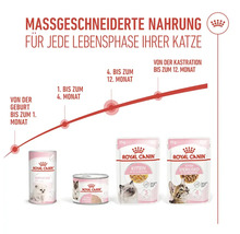 Infografik zur Royal Canin Katzenfutter Produktreihe für verschiedene Lebensphasen vom Kätzchen bis zur ausgewachsenen Katze.