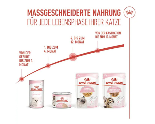Infografik zur Royal Canin Katzenfutter Produktreihe für verschiedene Lebensphasen vom Kätzchen bis zur ausgewachsenen Katze.
