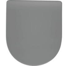 Grauer WC Sitz in schlichter Form