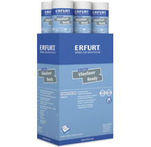 Papier peint intissé Erfurt Vliesfaser Ready, pré-peint et gaufré, carton de six rouleaux, 10,05 mètres par 0,53 mètre par rouleau.