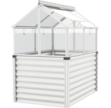Carré potager avec serre surélevée en tôle ondulée et parois transparentes pour le jardin.
