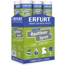 Papier peint ingrain Erfurt Rauhfaser Sprint en carton avec 6 rouleaux de 20 mètres sur 0,53 mètres chacun pour la décoration murale