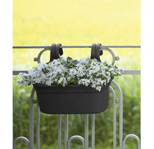 Jardinière à suspendre au garde-corps avec des fleurs blanches.