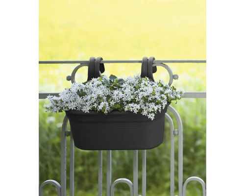 Jardinière à suspendre au garde-corps avec des fleurs blanches.