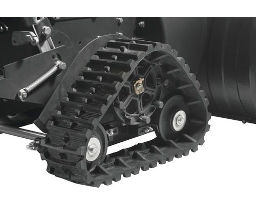 Gros plan sur une chenille de fraise à neige.