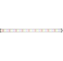 LED Aquarienleuchte mit mehrfarbigen Lichtdioden in schmalem Gehäuse