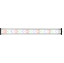 LED Aquariumbeleuchtung in stabiler Aluminiumfassung für lebendige Unterwasserlandschaften