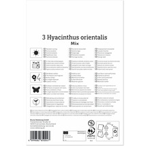 Rückseite der Produktverpackung für Hyacinthus orientalis Mix mit Symbolen zu Standort, Anwendung, Duft, Insektenfreundlichkeit und Winterhärte.