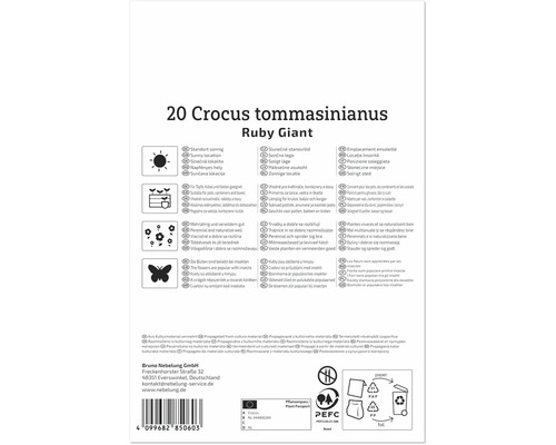 Rückseite einer Produktverpackung für 20 Crocus tommasinianus Ruby Giant Blumenzwiebeln mit Pflanzanleitung, Symbolen und Herstellerinformationen.